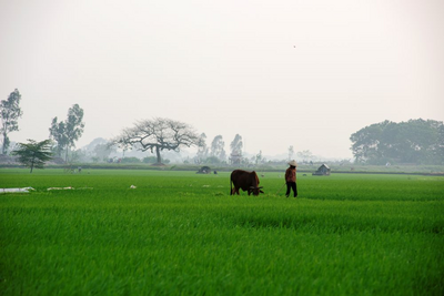 Landschaft in Nghe An, Vietnam Naturreise