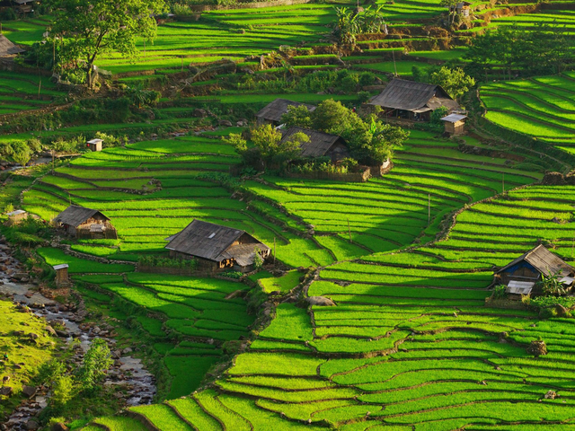 Reisterrassen in Sapa, Vietnam Reise