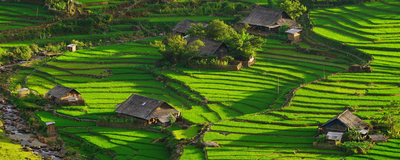Reisterrassen in Sapa, Vietnam Reise