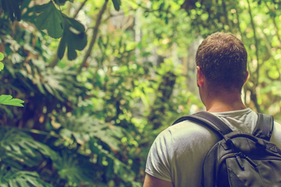 Dschungelwanderung, Vietnam Lifestyle Reise