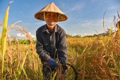 Bauer auf einer Farm, Laos Reisen