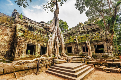 Ta Phrom Tempel, Sehenswürdigkeit in Angkor, Asien