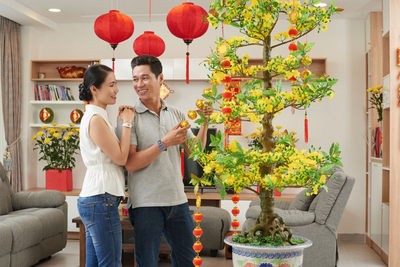 Neujahr Baum, Tet Fest Vietnam