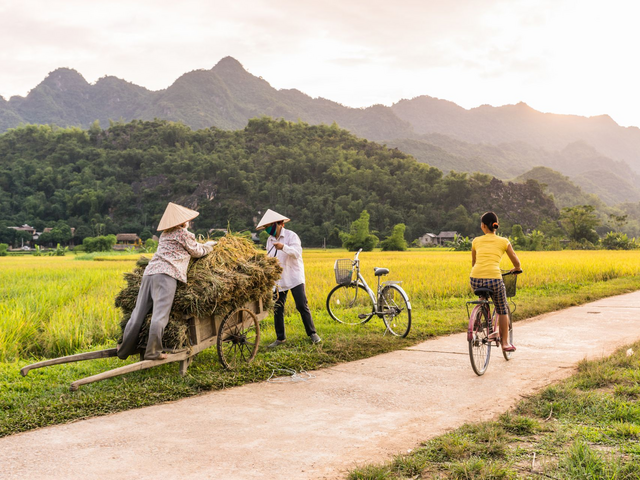 Feldarbeit, Mai Chau Tal, Vietnam, Vietnam Laos Reise