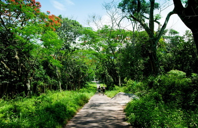 Cuc Phuong Nationalpark, Vietnam Naturreise