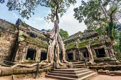 Ta Prohm, Angkor, Kambodscha Reise, Tempel