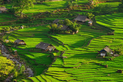 Reisterrassen in Lao Cai, Sapa, Vietnam Rundreise